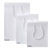 White Gloss Rope Handle Carry Bag